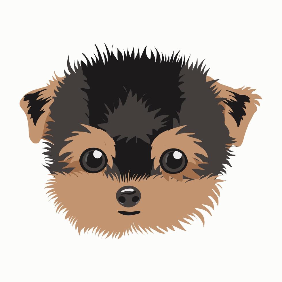 Vector illustration of a Yorkshire Terrier dog. The dog is isolated on a white background.