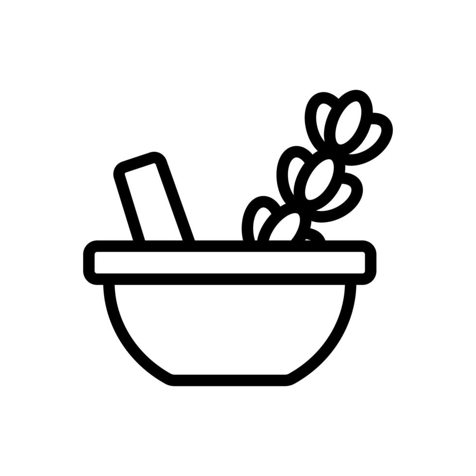 Lavender spice icon vector. Isolated contour symbol illustration vector