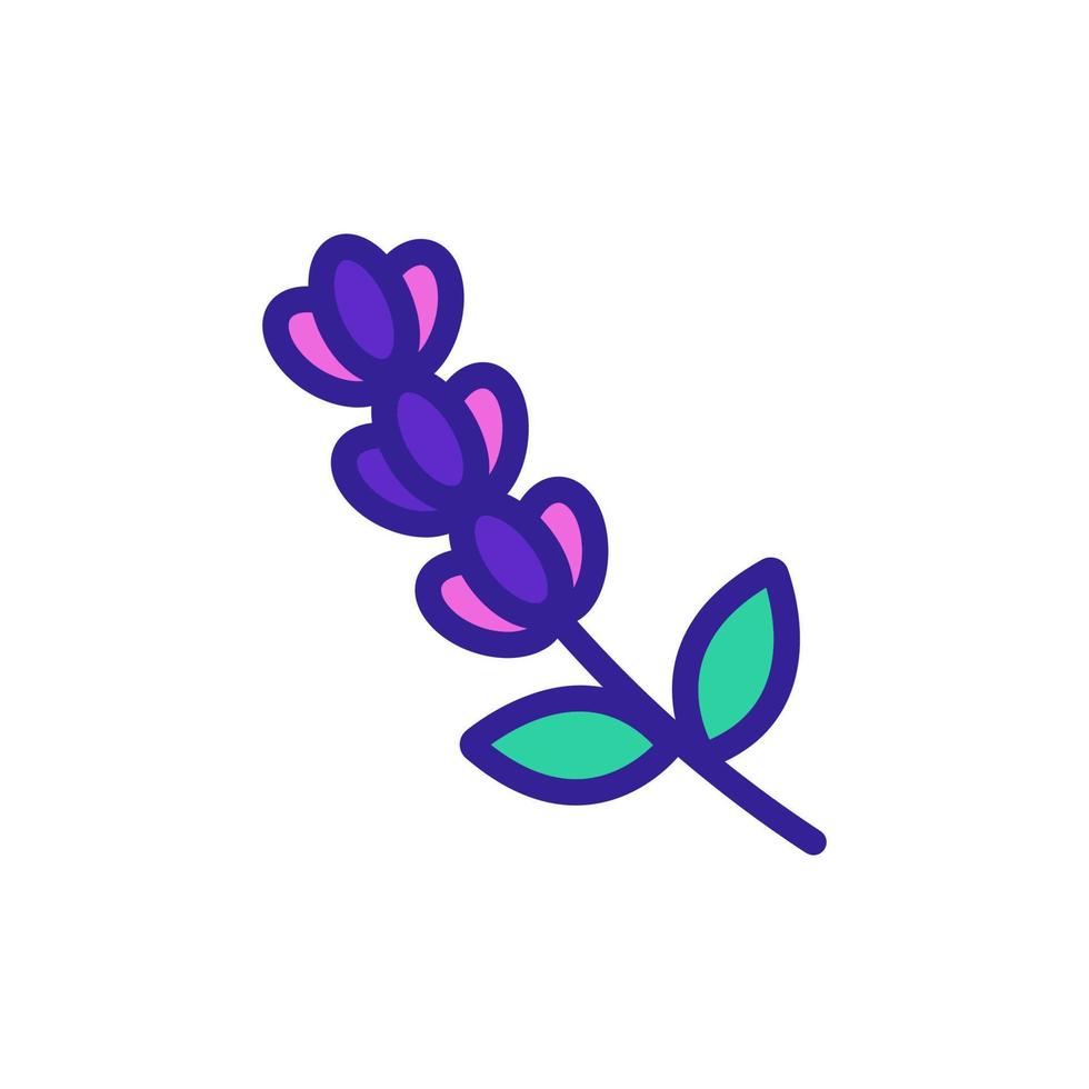 vector de icono de flor de lavanda. ilustración de símbolo de contorno aislado