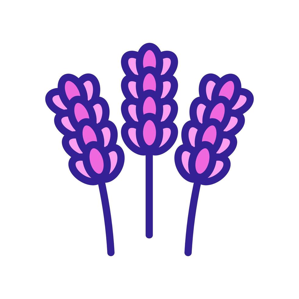 vector de icono de flor de lavanda. ilustración de símbolo de contorno aislado