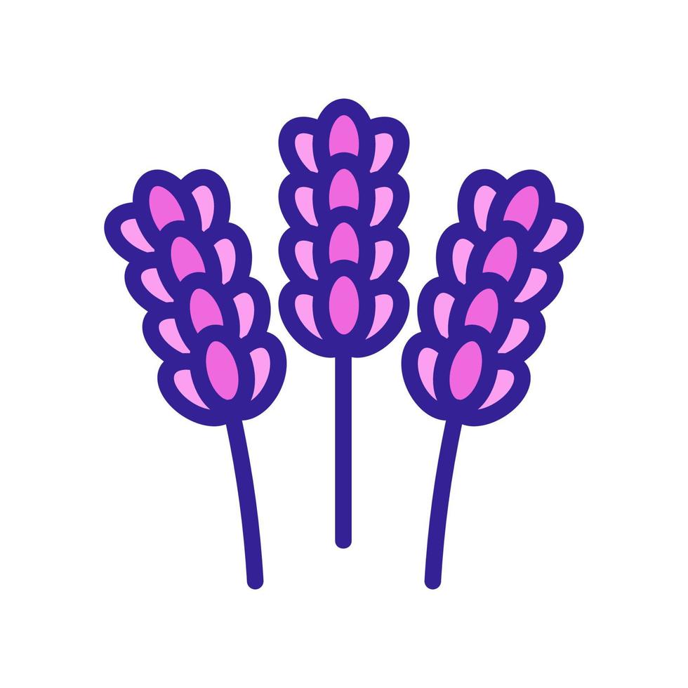 Lavender flower icon vector. Isolated contour symbol illustration vector
