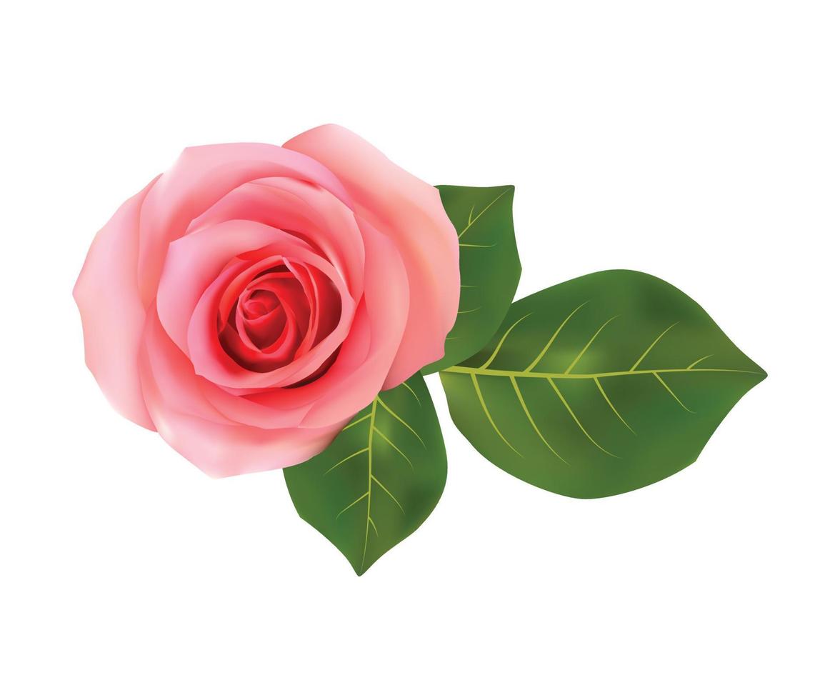 Abstract vector isolated pink rose with green leaf on white background