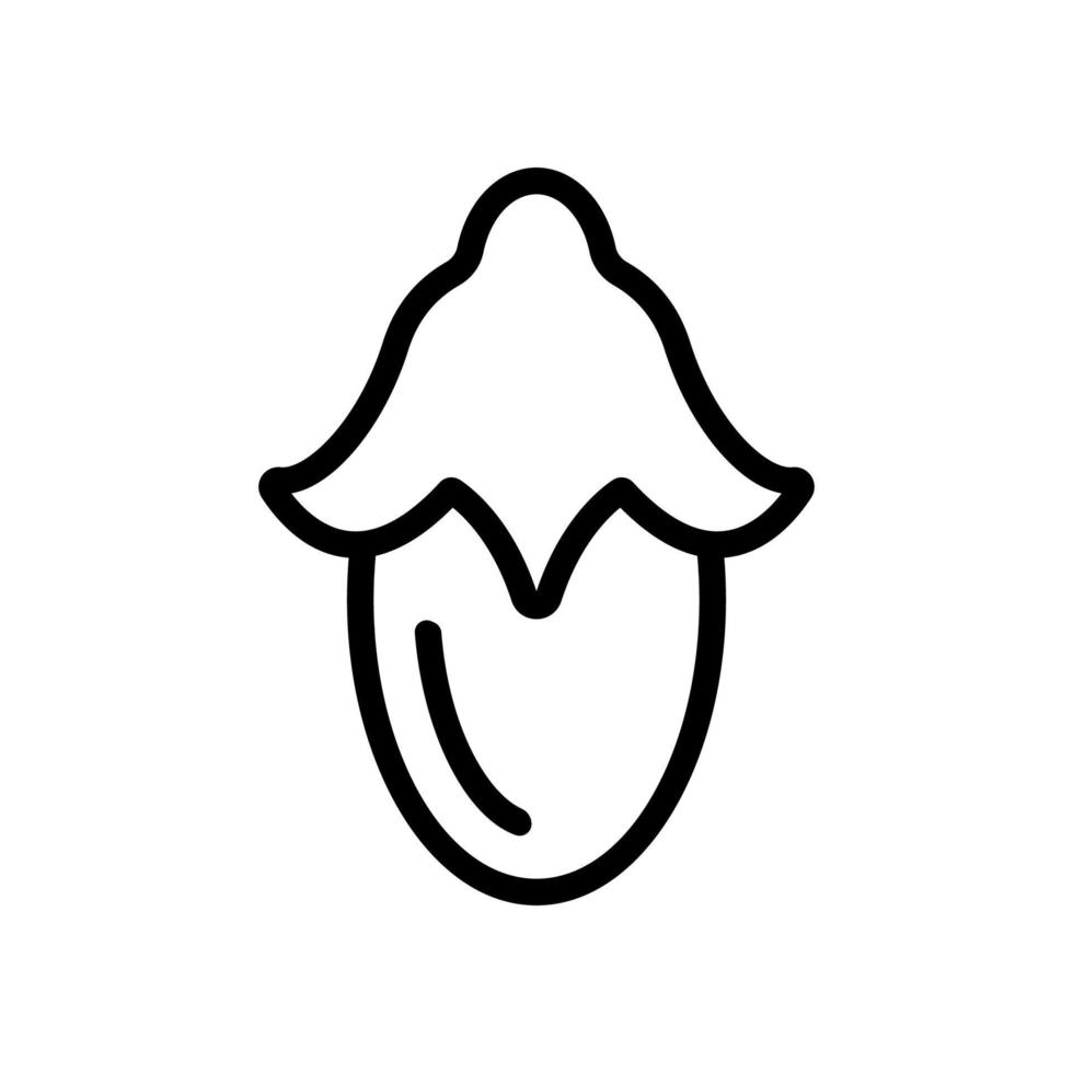 ilustración de contorno de vector de icono de baya de jojoba