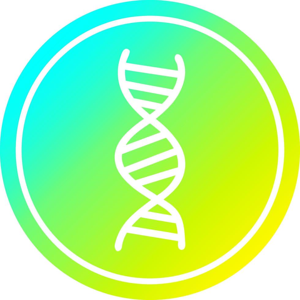 DNA chain circular in cold gradient spectrum vector