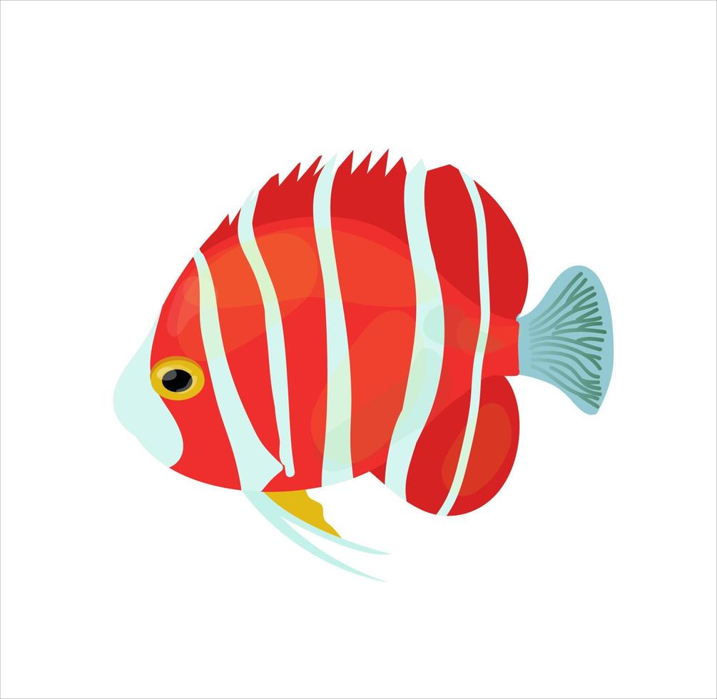 Portrait of nice tropical fish. Vector