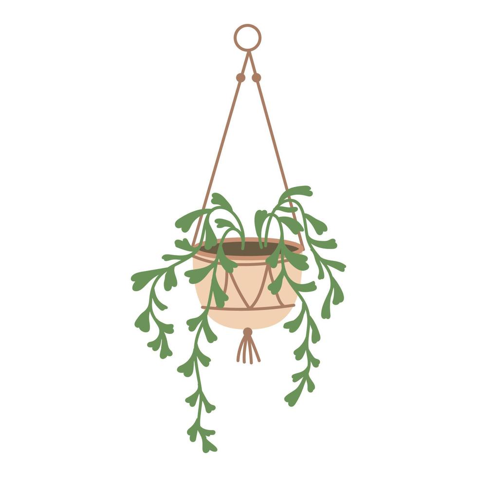 Plant in hanging pot. Houseplant hang on rope, decorative indoor plant, vector