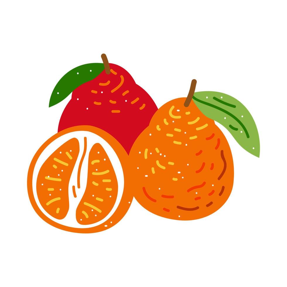 naranja plana. ilustración vectorial mandarín aislado sobre fondo blanco. agrios vector