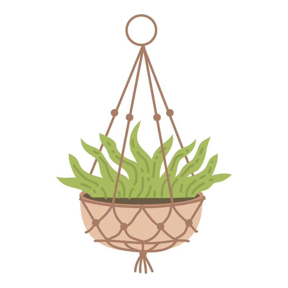 Plant in hanging pot. Houseplant hang on rope, decorative indoor plant, vector