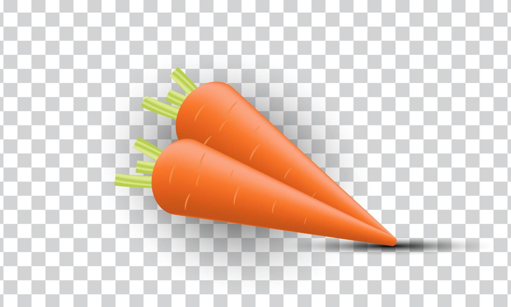 unique 3d orange carrot illustration realistic icon design isolated on vector