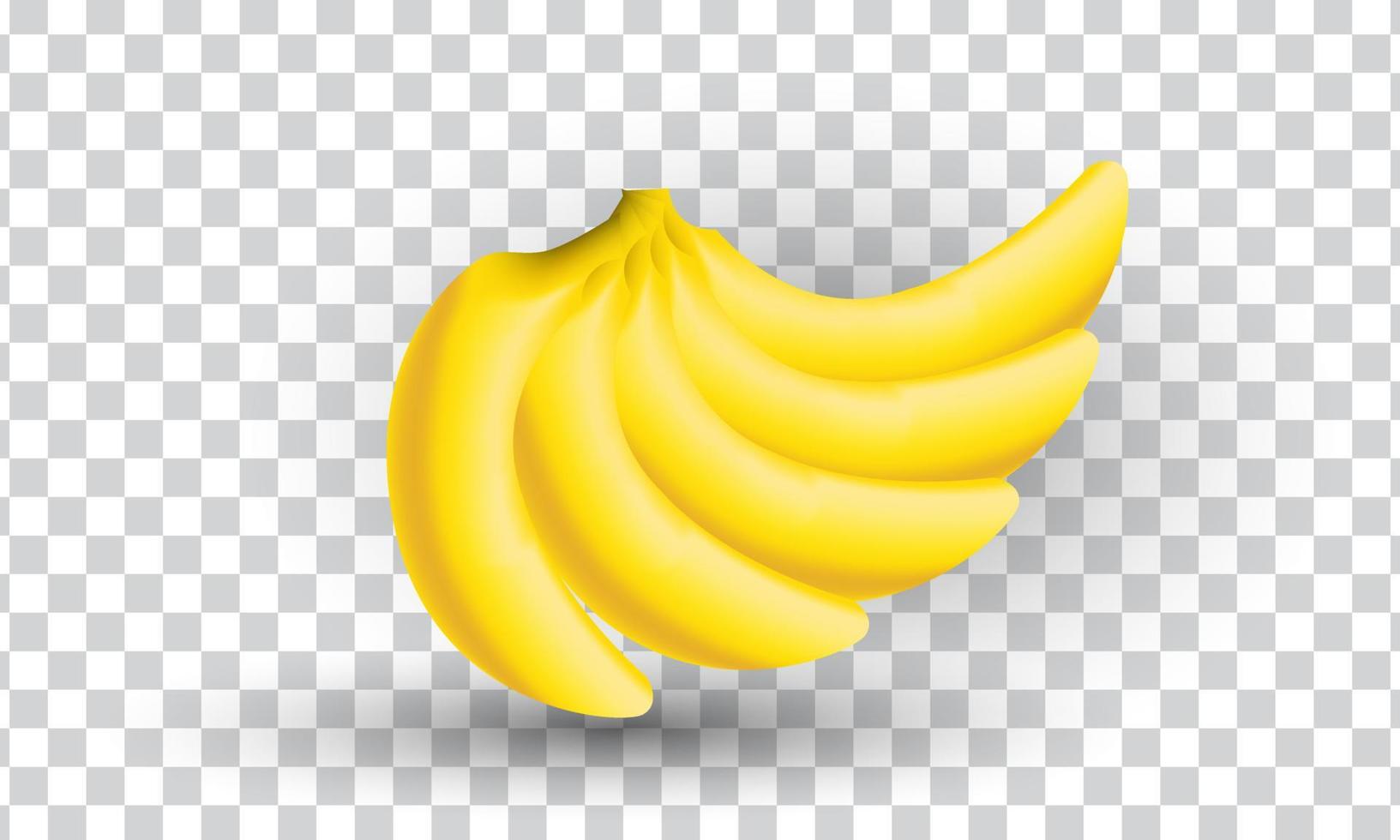 unique 3d yellow banana peeled fruit nature realistic isolated on vector