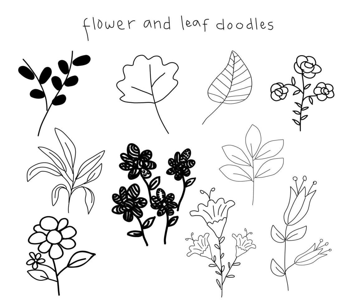 garabatos de flores y hojas ilustración vectorial vector