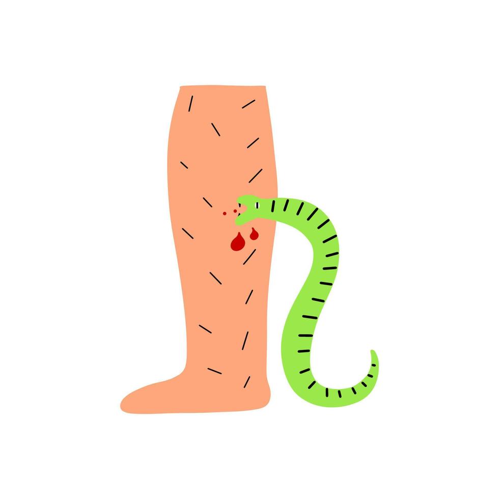A poisonous snake bites a person's leg. Vector hand drawn illustration.