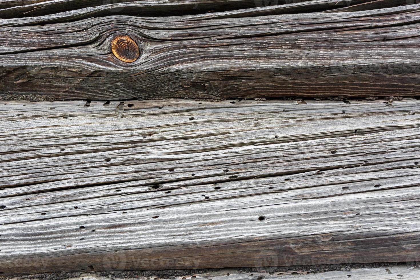 wooden gray frame texture of old house with burrow eaten bark beetle photo