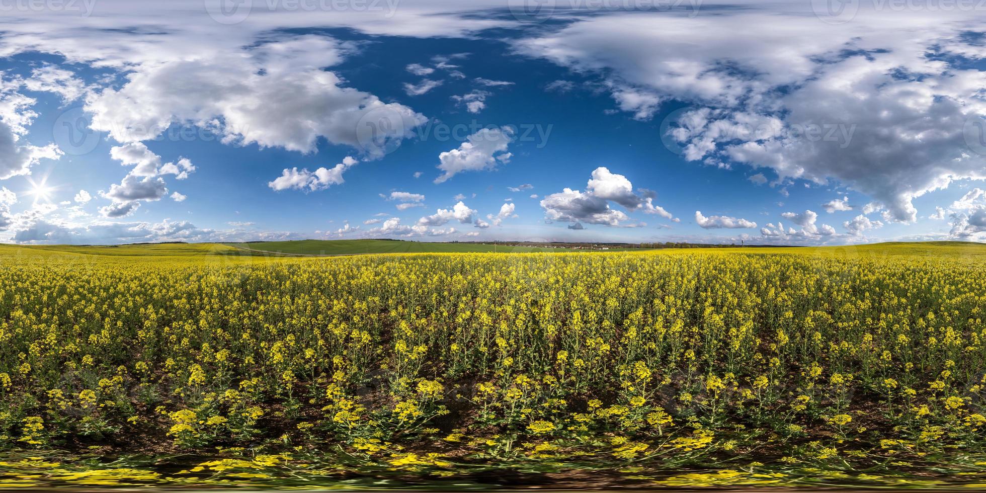 full seamless spherical hdri panorama 360 degrees angle view on among rapseed canola colza fields in spring day in sky in equirectangular projection, ready for VR AR virtual reality content photo
