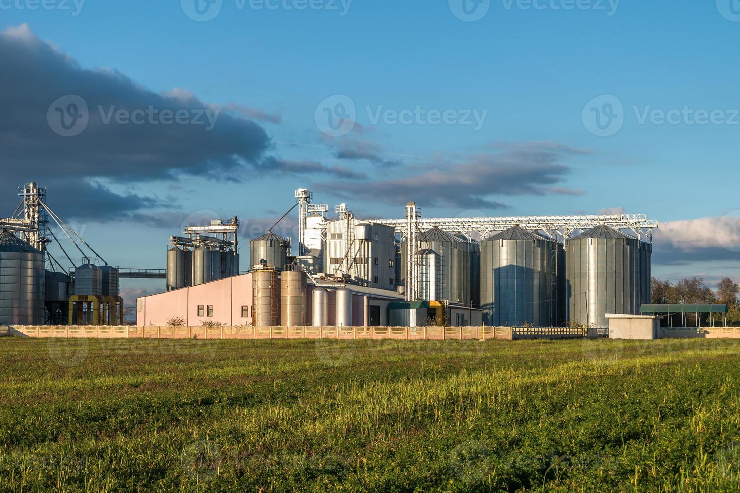 silver silos on agro-processing plant for processing and storage of agricultural products, flour, cereals and grain photo