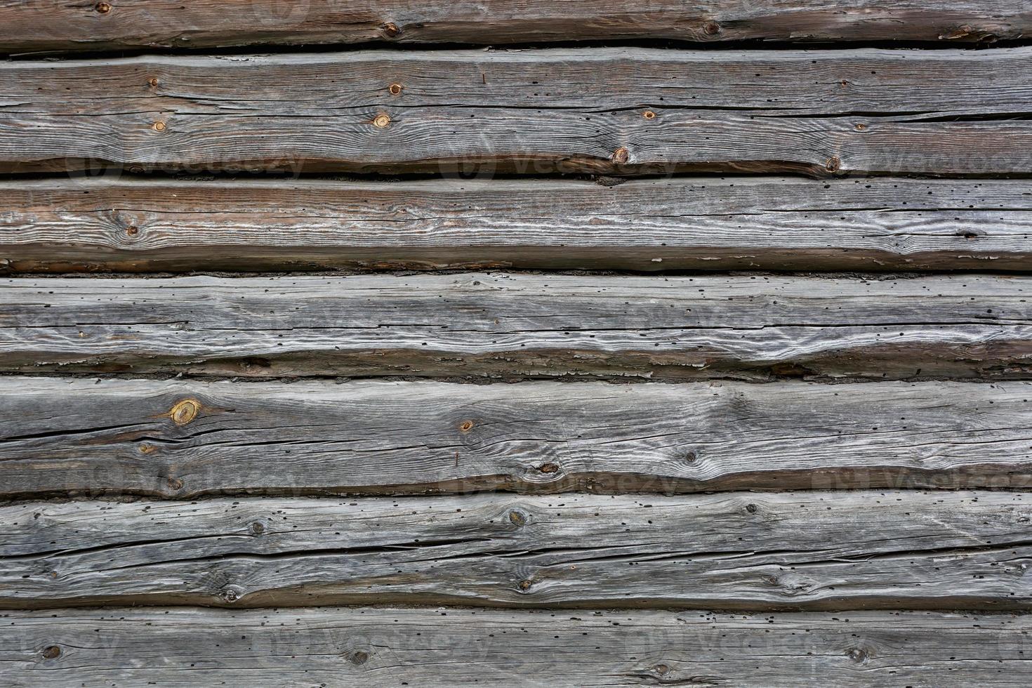 wooden gray frame texture of old house with burrow eaten bark beetle photo