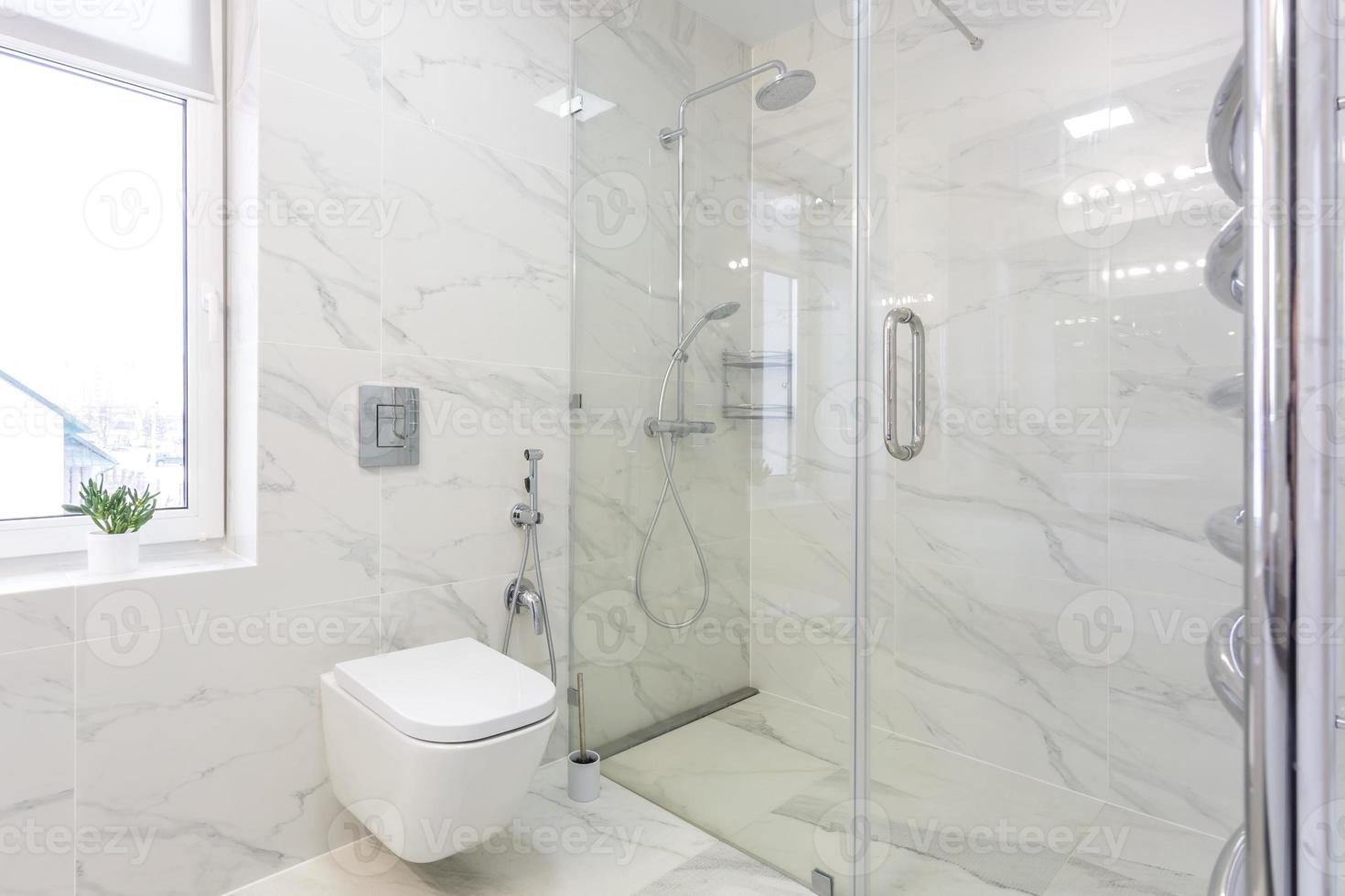 toilet and detail of a corner shower bidet with soap and shampoo dispensers on wall mount shower attachment photo