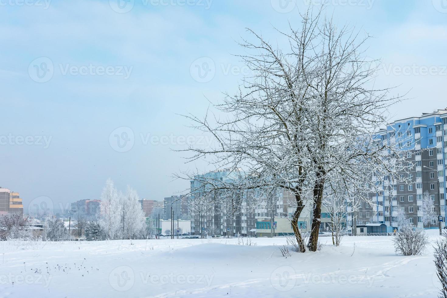 panorama de la zona residencial de la ciudad en un soleado día de invierno con árboles de escarcha foto
