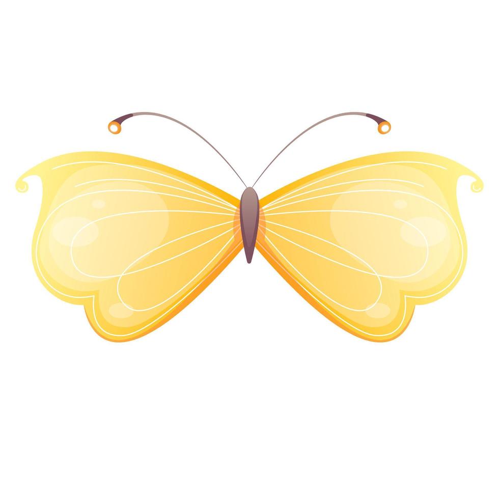 Bright magic colorful butterfly. Vector isolated illustration.