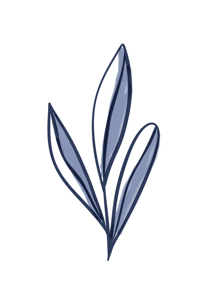 One line drawing  monstera leaf and palm tree leaves png