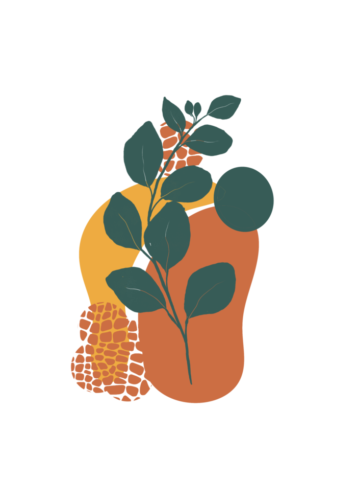 Botanical wall art background png