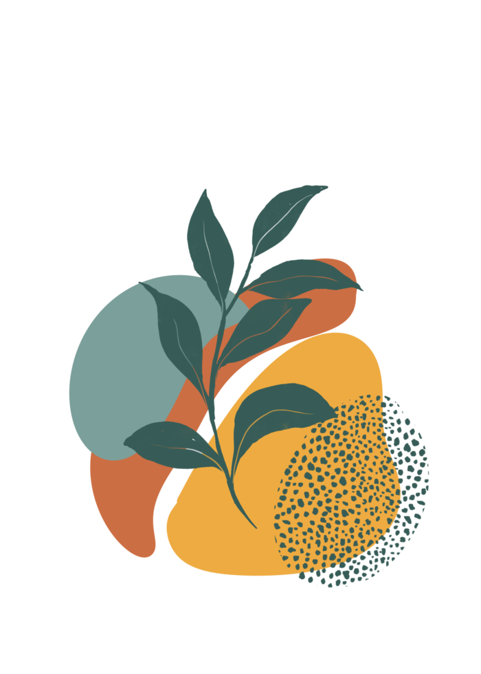 Botanical wall art background png