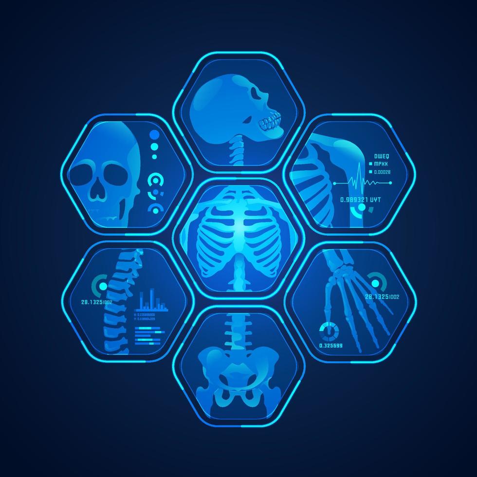 skeleton scan set vector