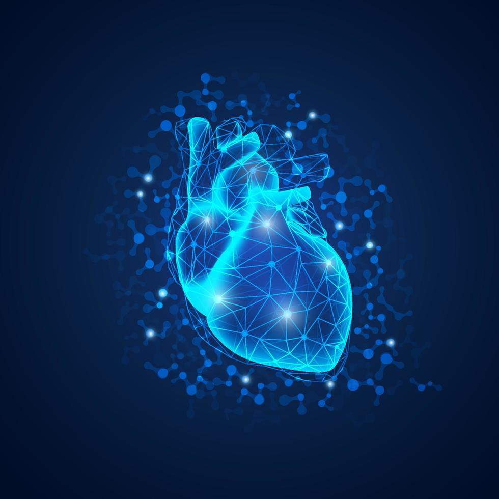 blue heart cardiology vector