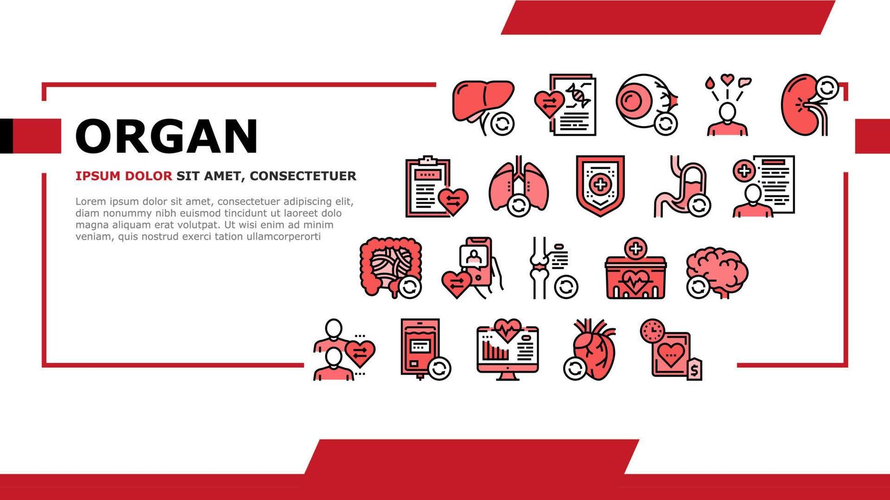 Organ Donation Medical Landing Header Vector