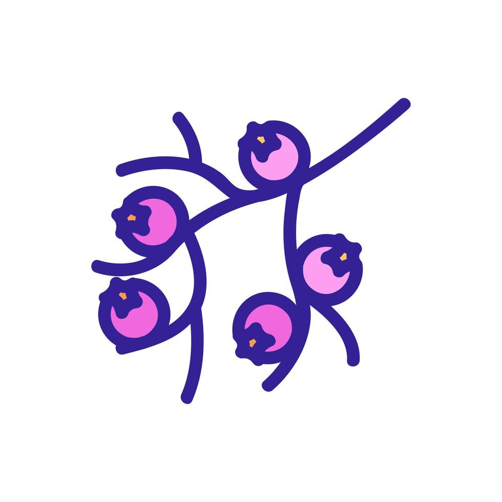 hawthorn branch icon vector outline illustration