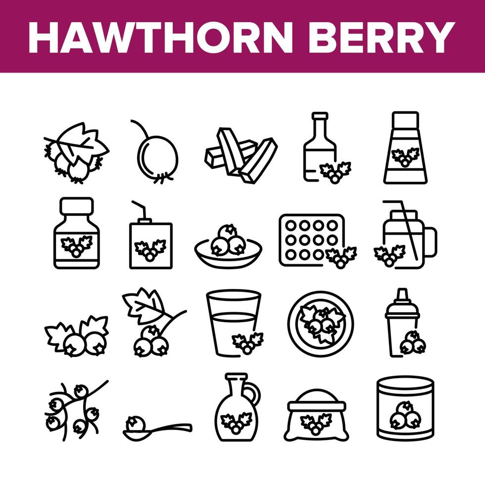 Hawthorn Berry Food Collection Icons Set Vector
