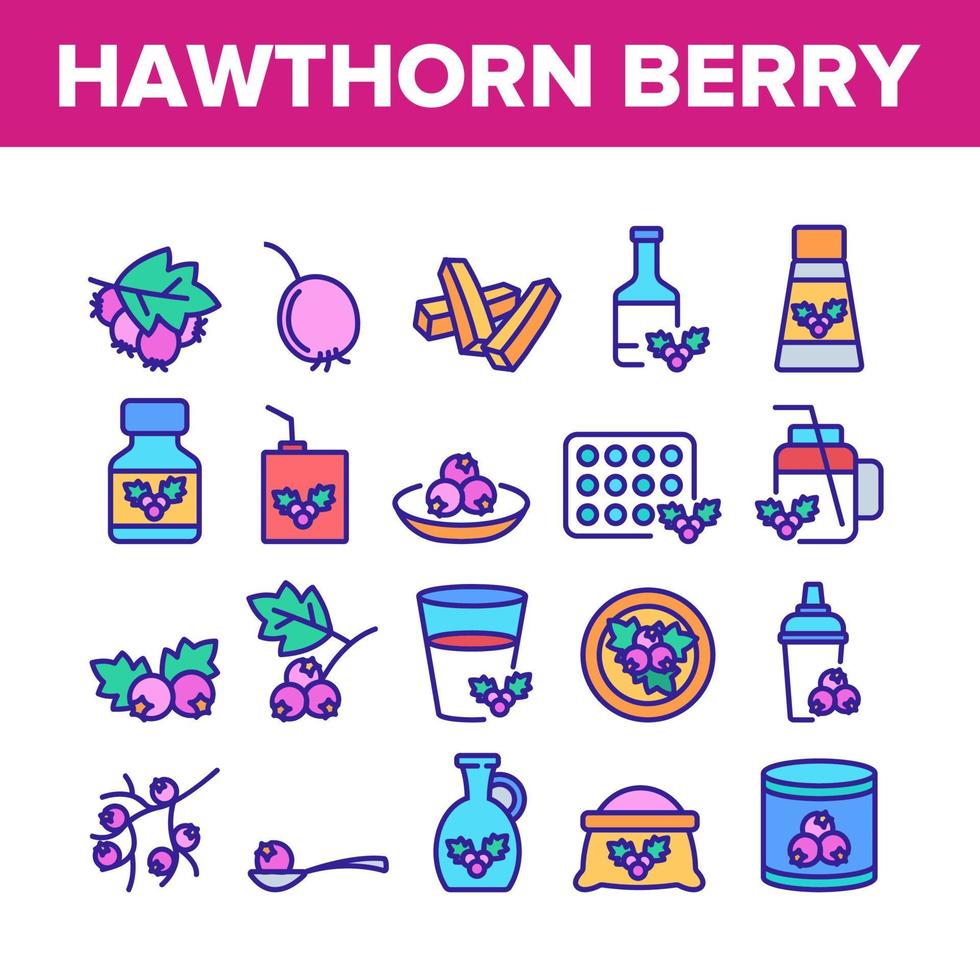 Hawthorn Berry Food Collection Icons Set Vector