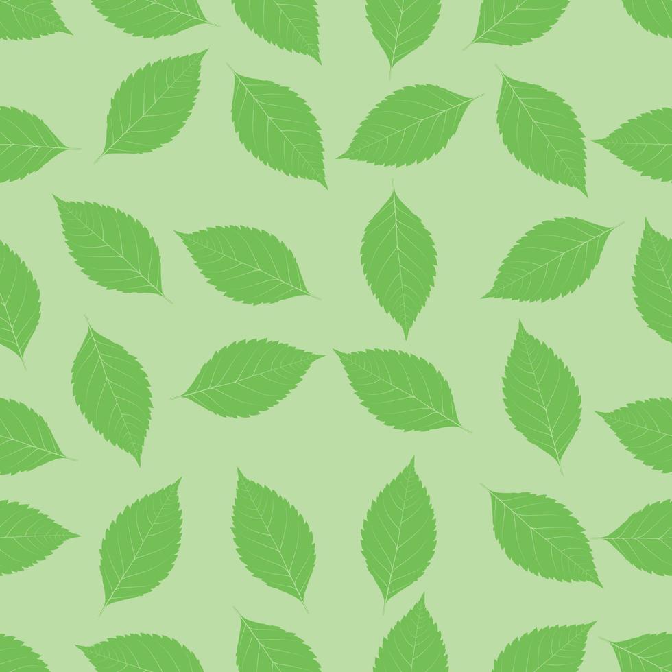 transparente con hojas de abedul verde vector