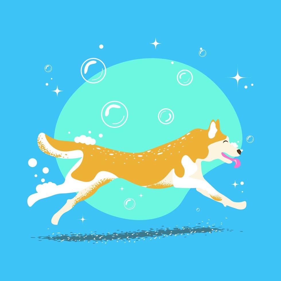 Banner sweet dog in bubble bath for dog hair salon, dog grooming and grooming shop, pet shop, grooming spa. Use for content, greeting card, invitation. flat style vector