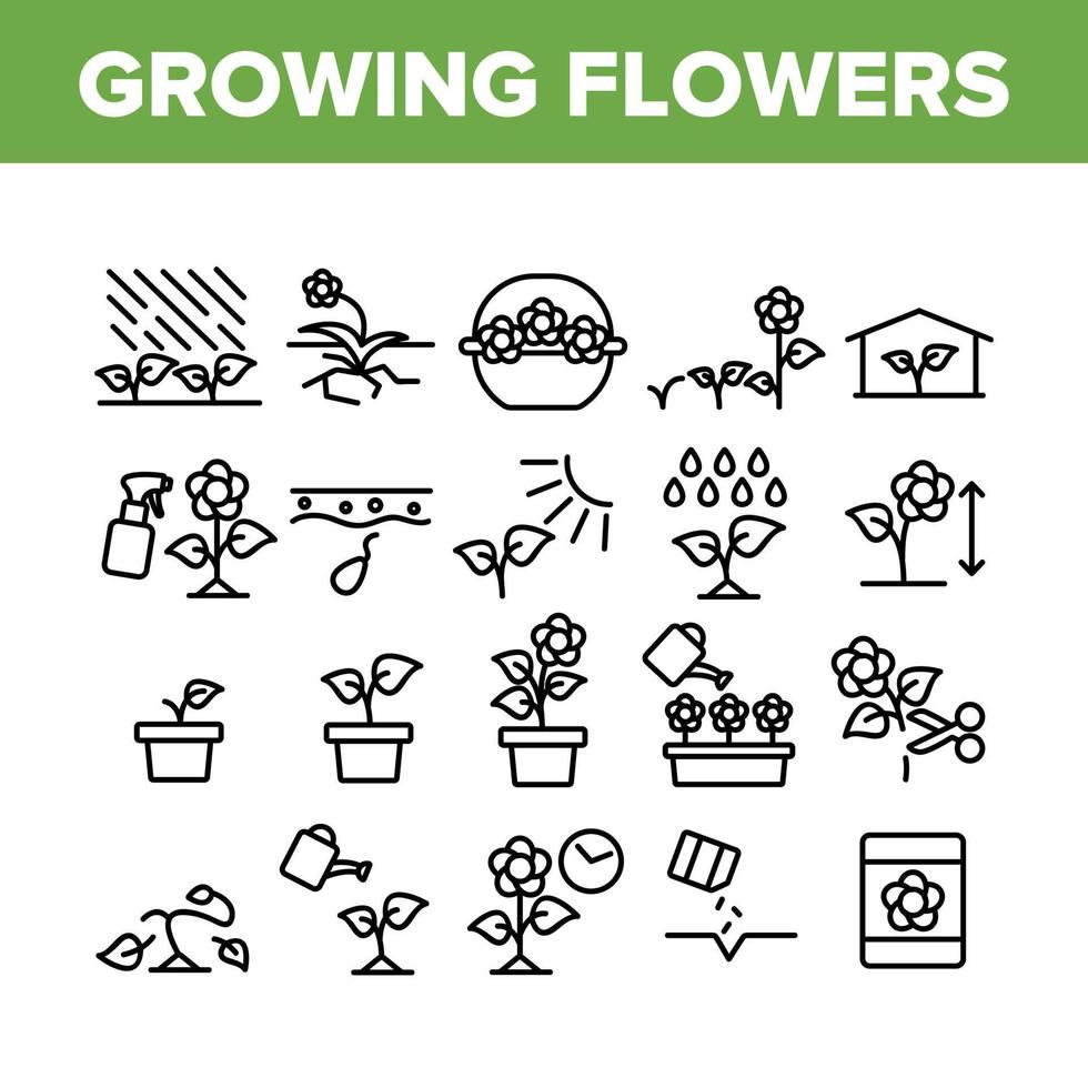 conjunto de iconos de colección de plantas de flores en crecimiento vector