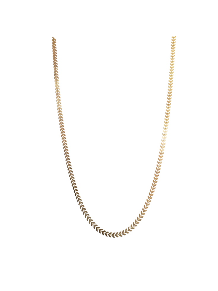 Ladies Gold Necklace Jewelry Free PNG