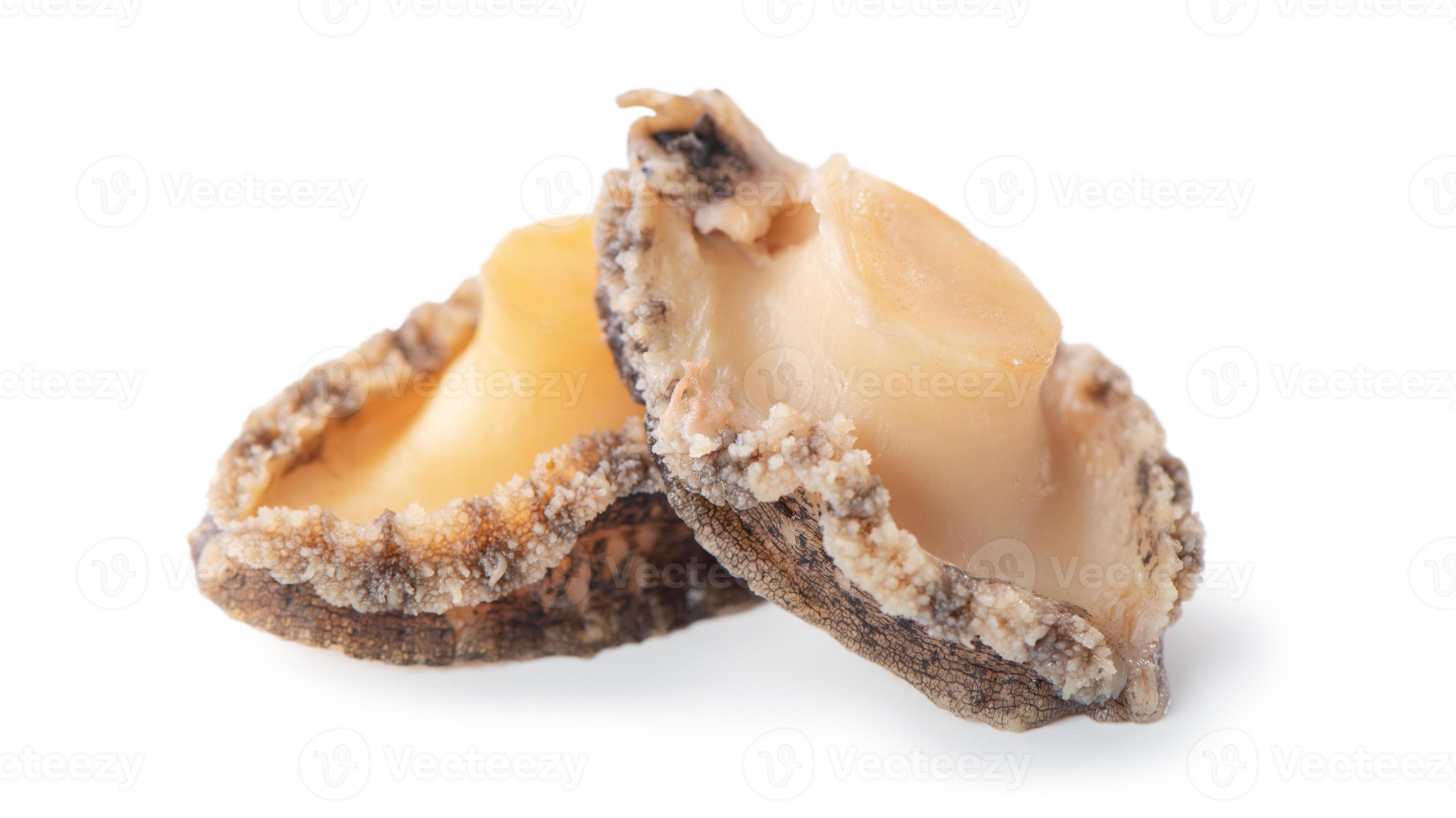 Close up of raw abalone isolated on white background, clipping path cut