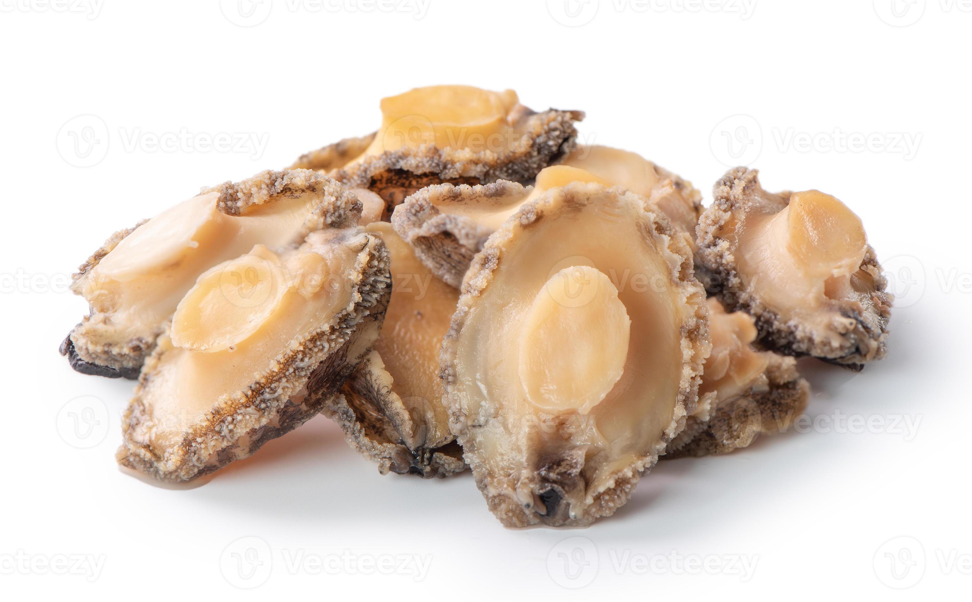 Close up of raw abalone isolated on white background, clipping path cut