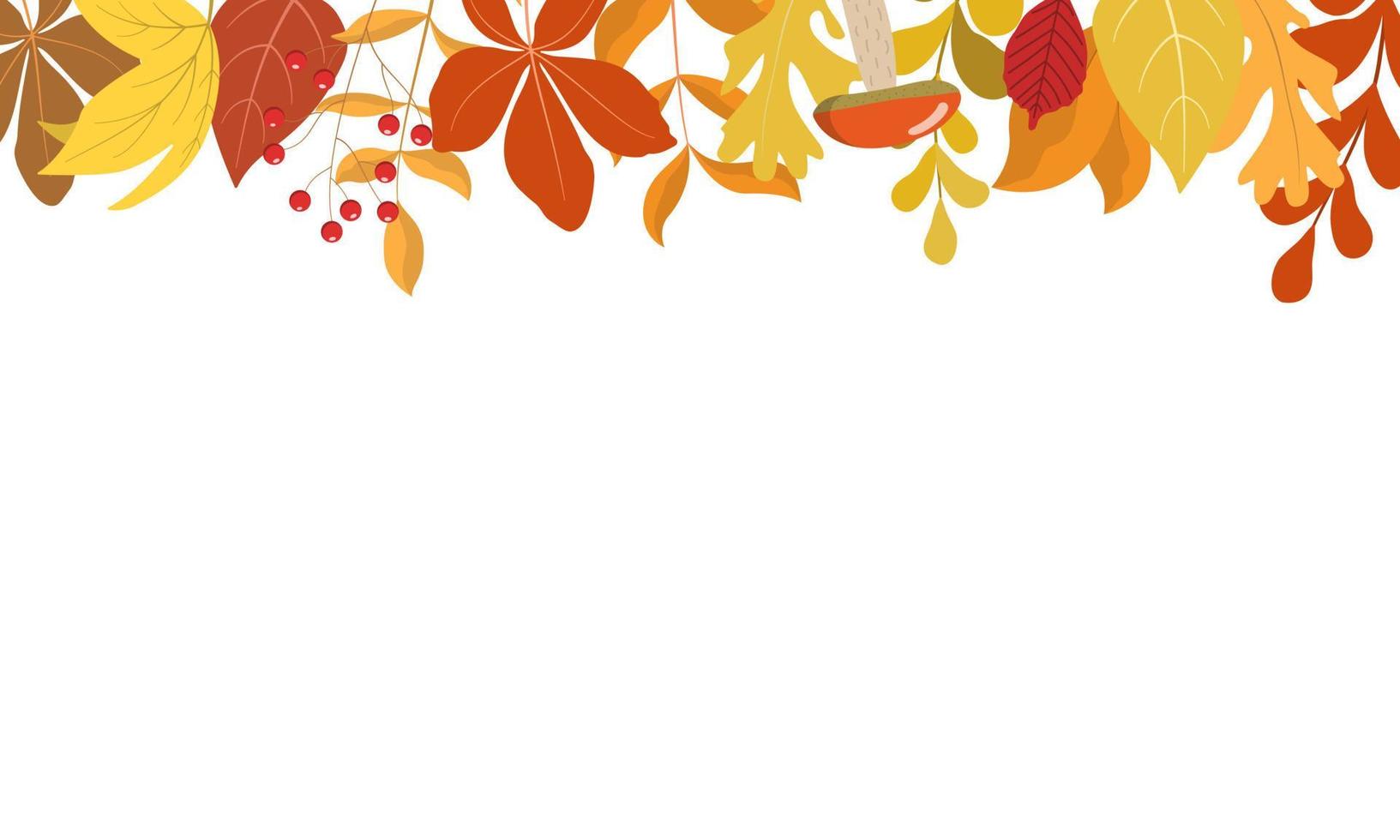 Autumn forest leaves, mushrooms, and red rowan berries. Horizontal seamless top border frame. Thanksgiving day, harvest holiday design. Isolated on white background. vector