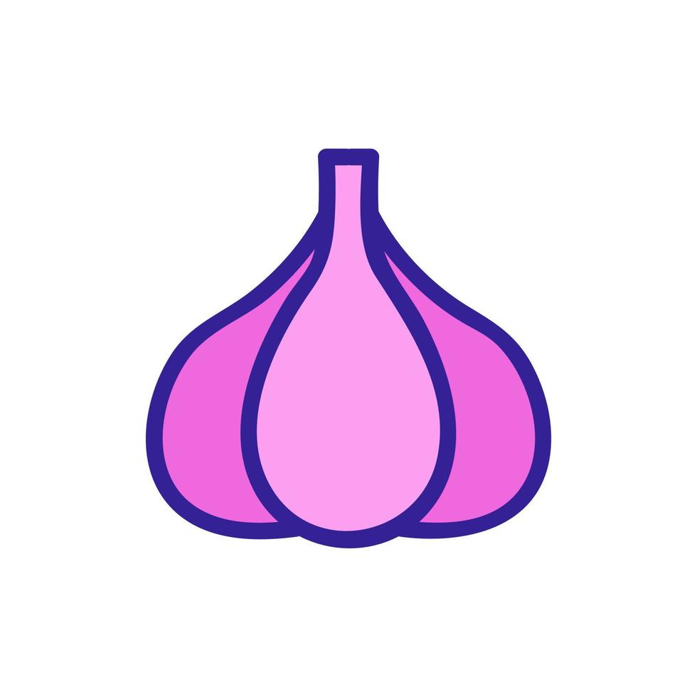 garlic icon vector. Isolated contour symbol illustration vector