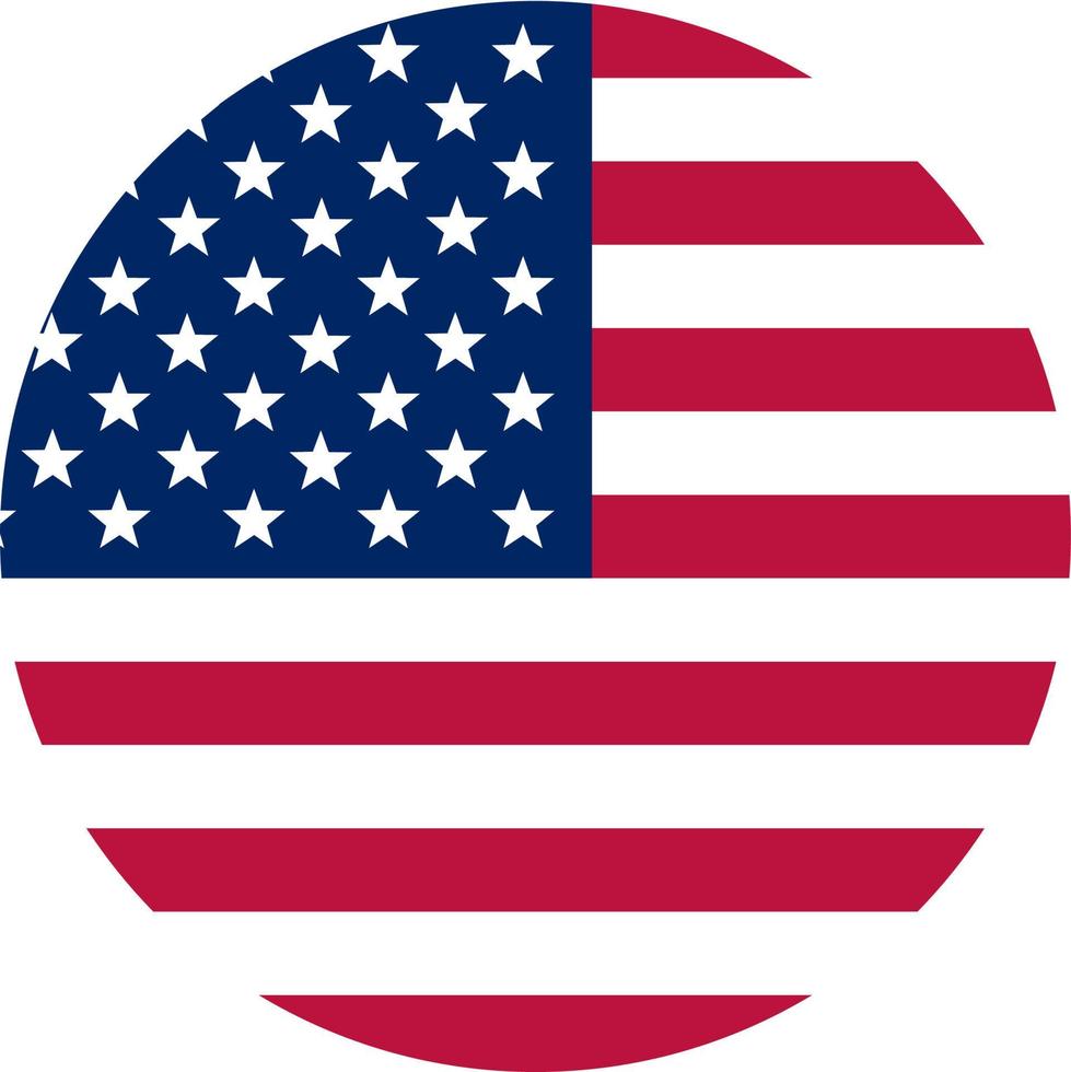 United States Flag Button vector