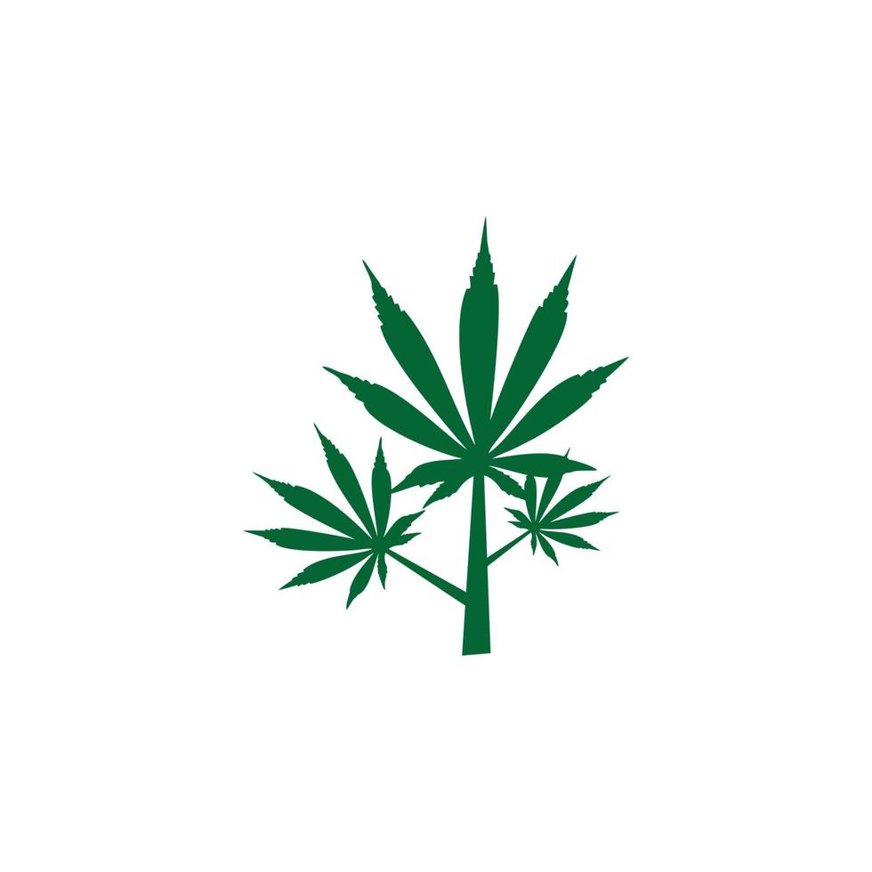 hojas y tallos de cannabis verde fresco vector