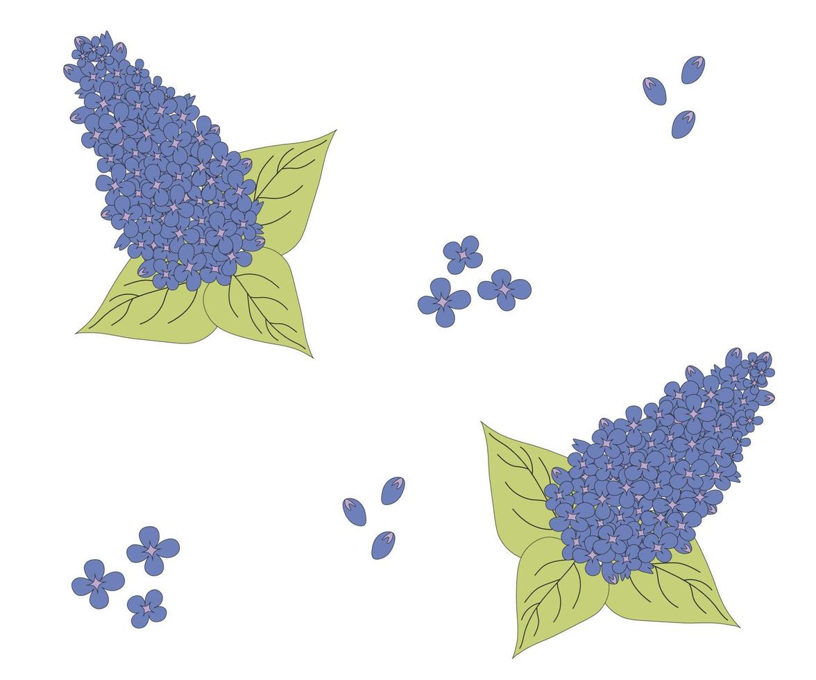 The pattern of lilac branches vector