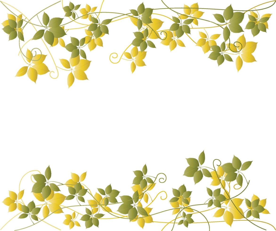 frame of climbing vines of yellow-green color vector