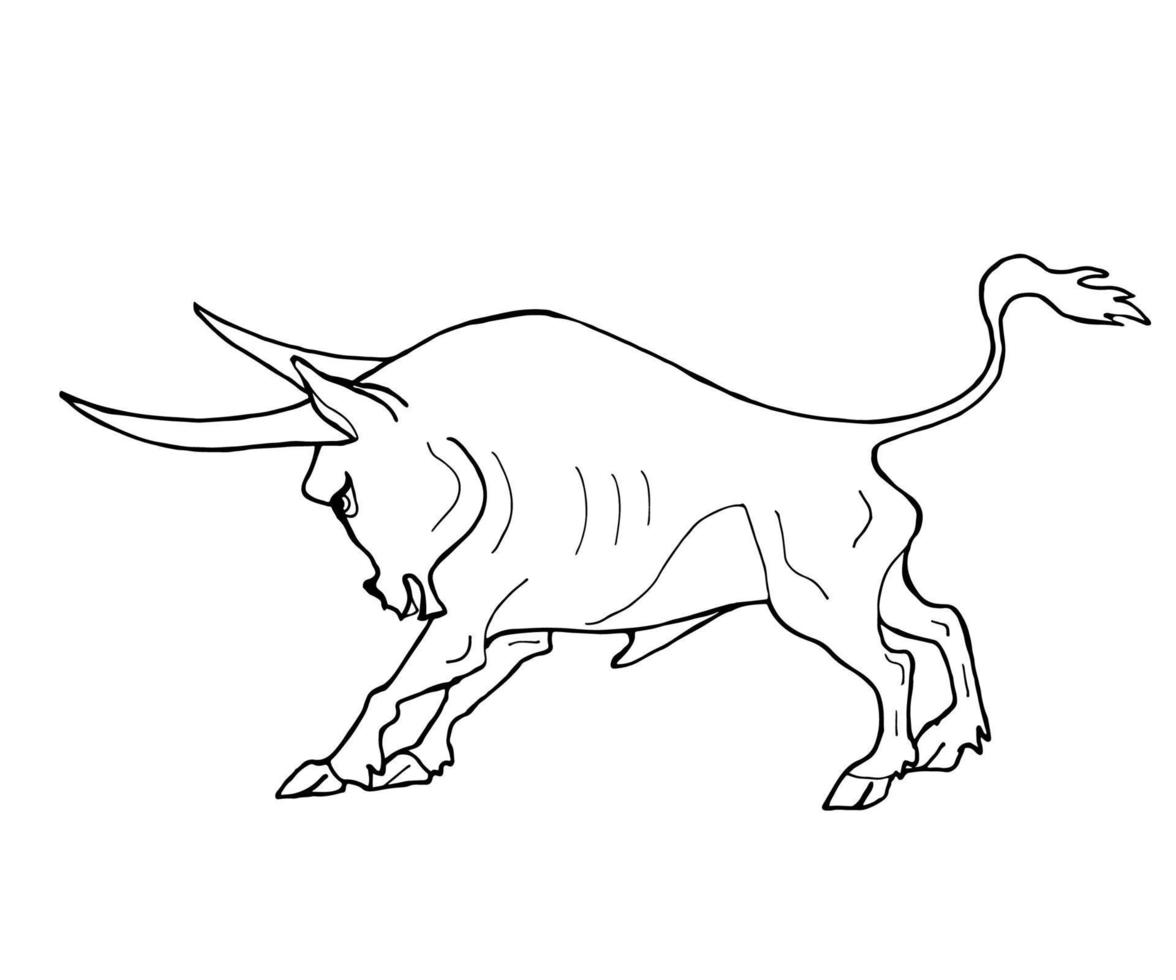 Vector hand drawn illustration of a bull. Black and white line art illustration.