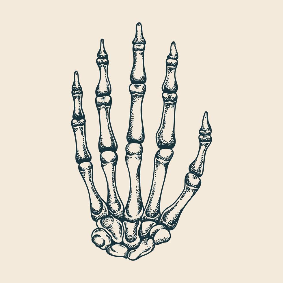 Hand Bones Vector Illustration