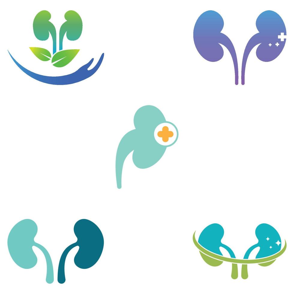 Kidney logo vector illusrtation