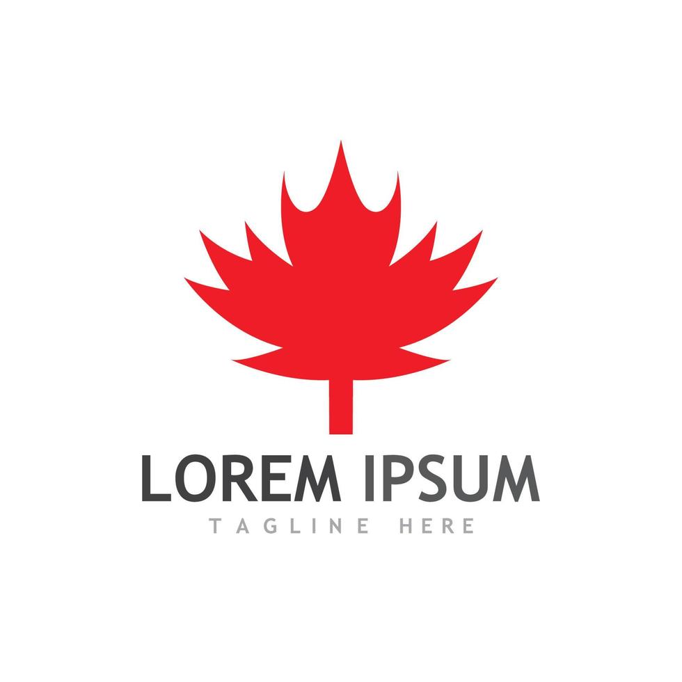 Maple leaf vector illustration