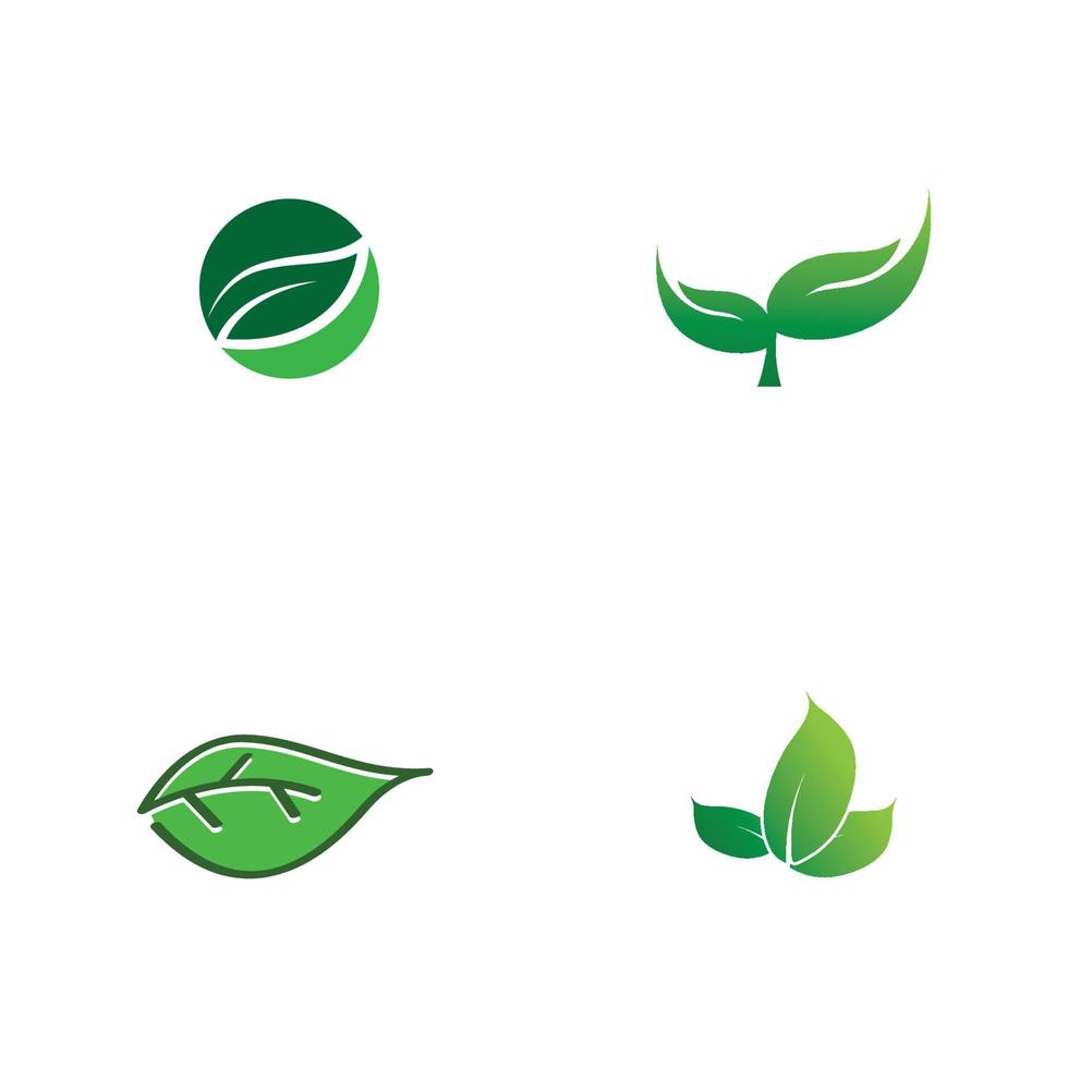 Green leaves logo.green leaf icons set vector template