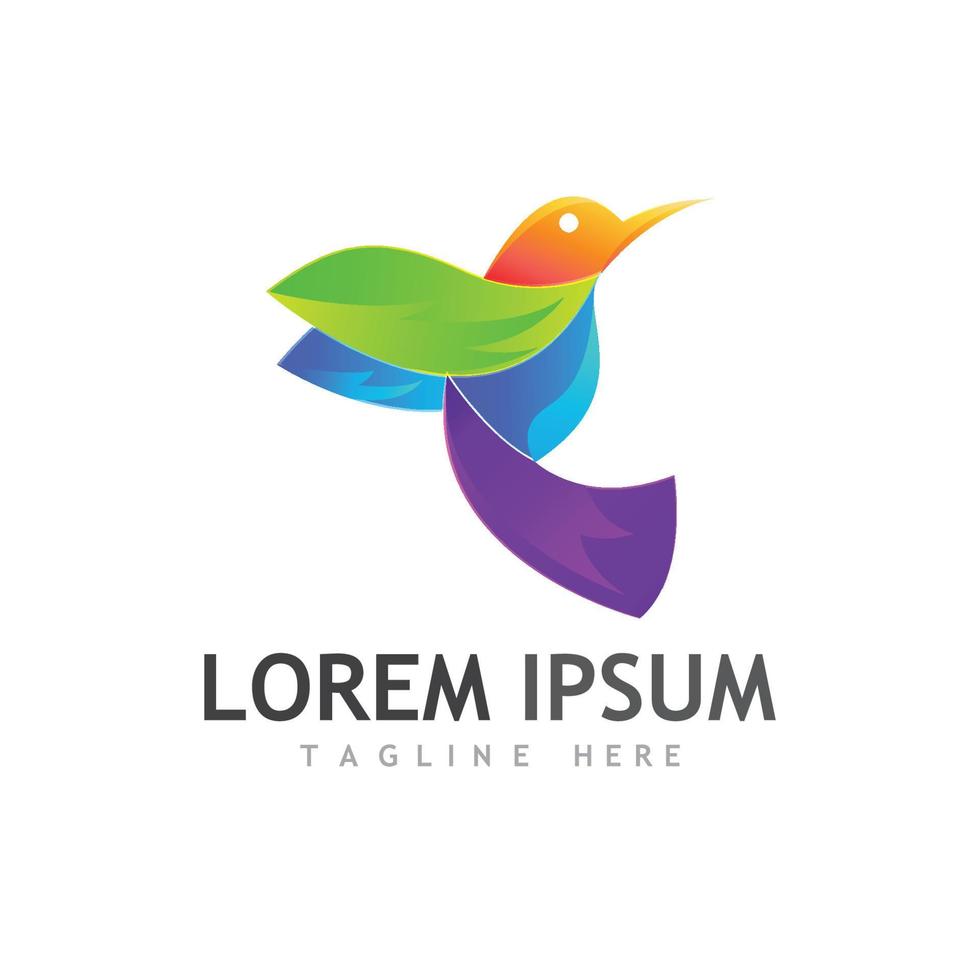 Beautiful colorful bird animal logo with vector illustration.